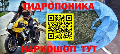 Альфа ПВП Моздок