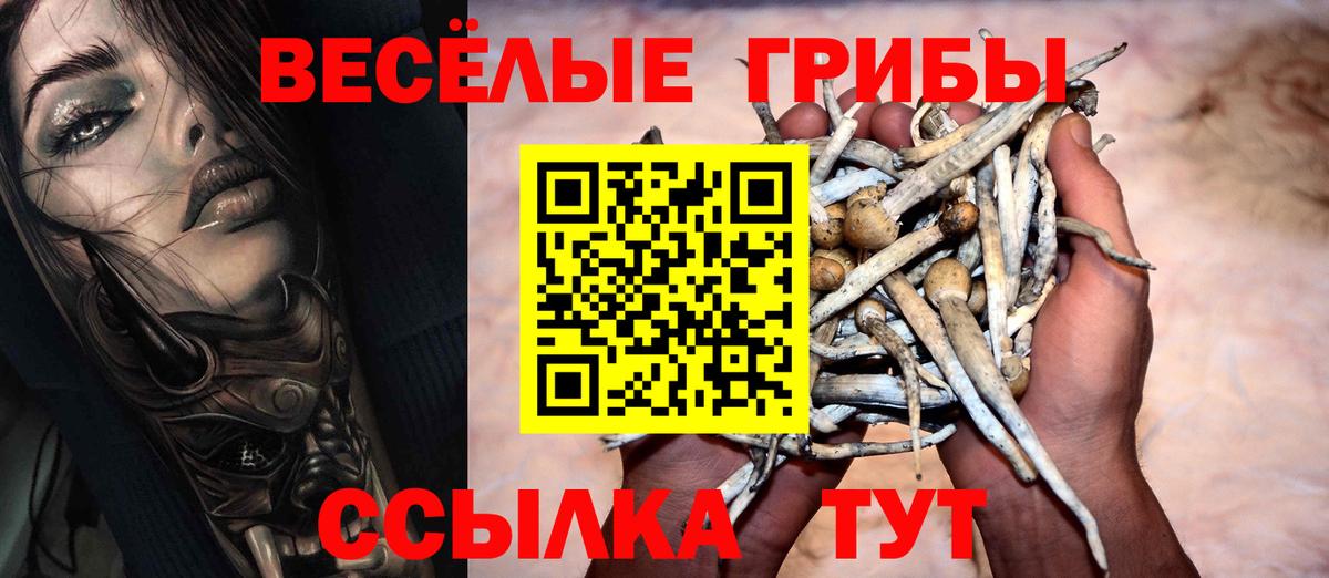 Галлюциногенные грибы GOLDEN TEACHER Тихорецк